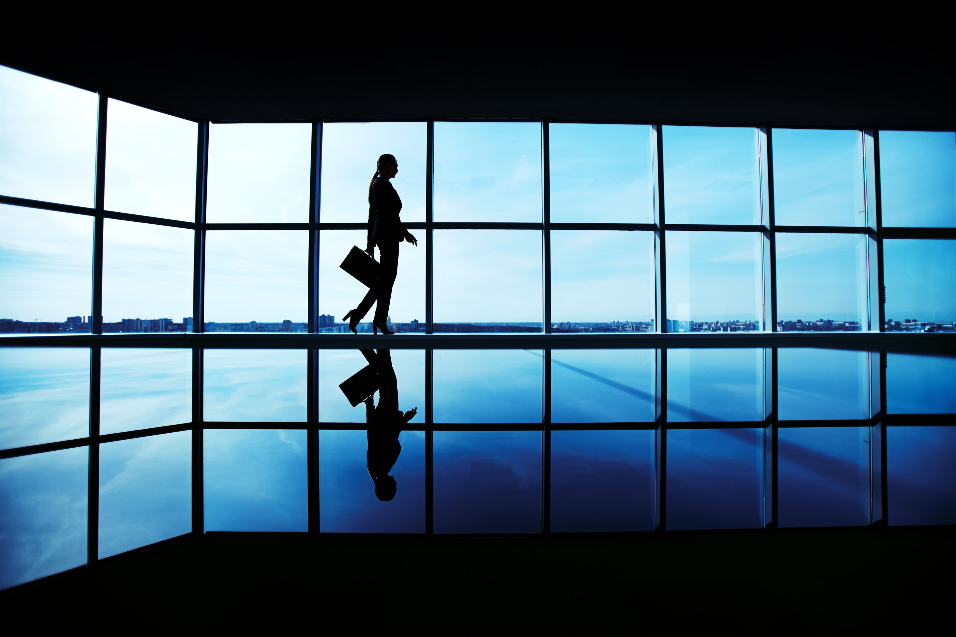 regulatory expertise